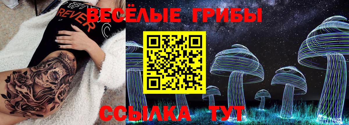 APVP Минусинск