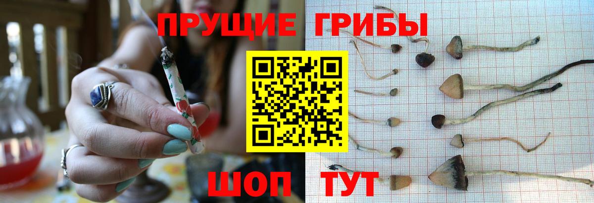 Минусинск  цена наркотик  Вход с VPN  Псилоцибиновые грибы Magic Shrooms 